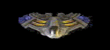 Ship 8-Shark